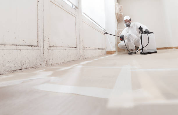 24/7 Emergency Attic Mold Removal experts in Paeonian Springs, VA